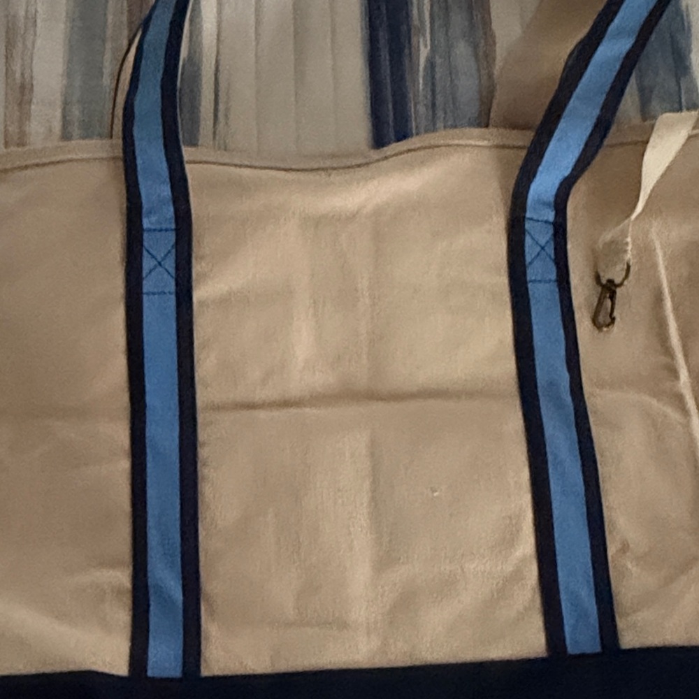 Disney Tan and Blue Canvas Tote - Picture 3 of 5